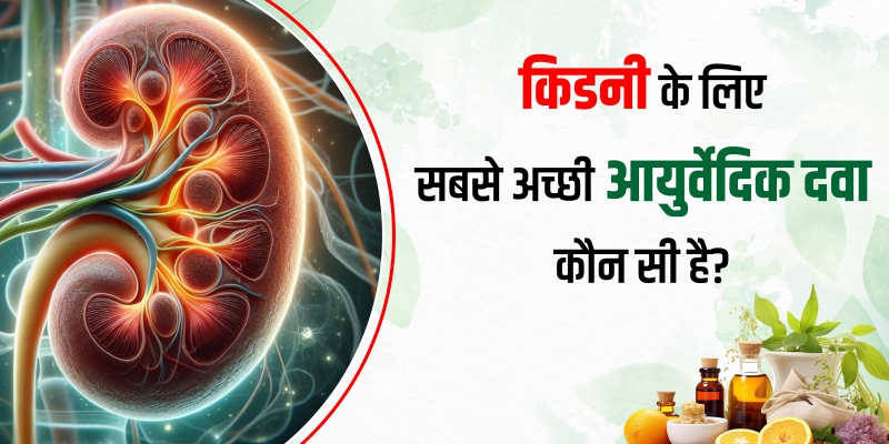 किडनी-के-लिए-सबसे-अच्छी-आयुर्वेदिक-दवा-कौन-सी-है